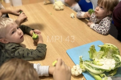 Terapia jedzenia- kalafior z brokułem